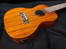 ARIA ACU-1KE_5