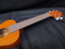 ARIA ACU-1KE_7