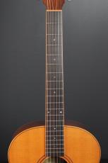 Thompson T-1 12st_7