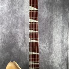 Rickenbacker 370/12 MG_3