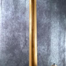Rickenbacker 370/12 MG_7