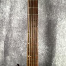 Godin A12 Natural SG_3