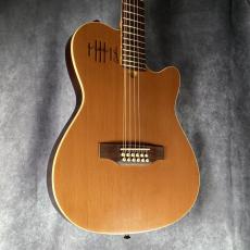 Godin A12 Natural SG_9