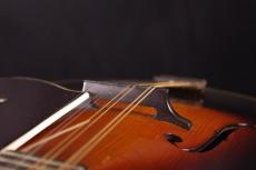 Martin 2-15 Mandolin_6