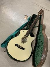 Parker Event Series P6E PWH マグネットPU +ピエゾPU ブレンドタイプ!