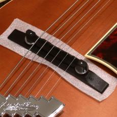 D'Angelico Premier EXL-1, Satin Walnut_7