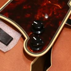 D'Angelico Premier EXL-1, Satin Walnut_9