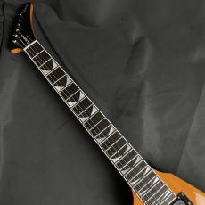 Gibson Dave mustaineFly_3