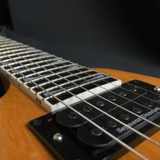 Gibson Dave mustaineFly_9