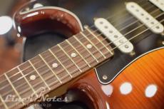 Fender 2018 Player Stratocaster Plus Top (Tobacco Sunburst)_5