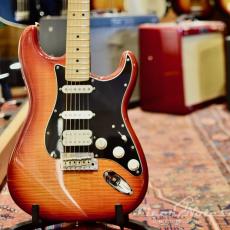 Fender 2019 Player Stratocaster Plus Top (Aged Cherry Burst)