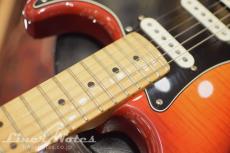 Fender 2019 Player Stratocaster Plus Top (Aged Cherry Burst)_5