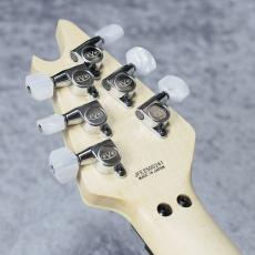 EVH MIJ Series EVH Signature Wolfgang Ivory【Made In Japan】_9