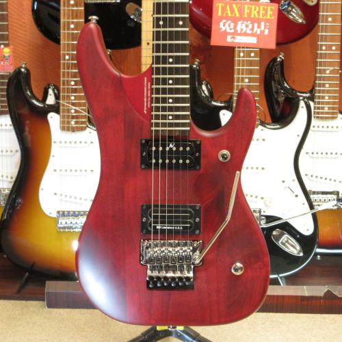 Washburn N24