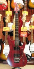 Washburn N24_2