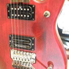 Washburn N24_3