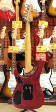 Washburn N24_6