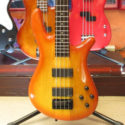Spector NS-2000