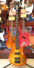 Spector NS-2000_2