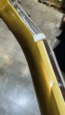 Epiphone Tak Matsumoto 1955 Les Paul Standard Antique Gold 2024_9