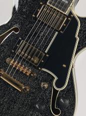 D'Angelico 【USED】Excel Mini DC -Black Dog-_3