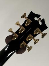 D'Angelico 【USED】Excel Mini DC -Black Dog-_10