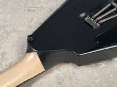 Edwards 【Alexi Laiho シグネイチャーモデル】E-ALEXI BLACKY -Metallic Black Satin with Gloss Black Pinstripe-_9