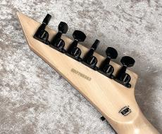 Edwards 【Alexi Laiho シグネイチャーモデル】E-ALEXI BLACKY -Metallic Black Satin with Gloss Black Pinstripe-_10