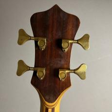 ALEMBIC Series-1 #79 1369【 現物画像】_7