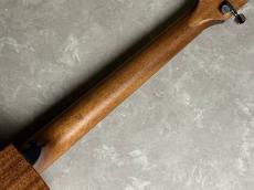 Taylor 314ce Studio NAT_9
