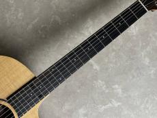 Taylor 14ce_5