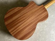 Taylor 14ce_7
