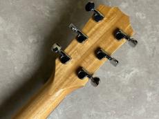 Taylor 14ce_10