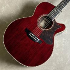 Takamine DMP50S WR エレアコギター 【島村楽器 x Takamine コラボモデル　現物写真】
