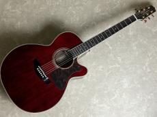 Takamine DMP50S WR エレアコギター 【島村楽器 x Takamine コラボモデル　現物写真】_2
