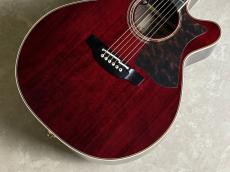 Takamine DMP50S WR エレアコギター 【島村楽器 x Takamine コラボモデル　現物写真】_3