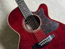 Takamine DMP50S WR エレアコギター 【島村楽器 x Takamine コラボモデル　現物写真】_4