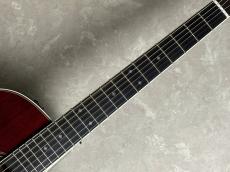 Takamine DMP50S WR エレアコギター 【島村楽器 x Takamine コラボモデル　現物写真】_5
