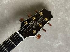 Takamine DMP50S WR エレアコギター 【島村楽器 x Takamine コラボモデル　現物写真】_6