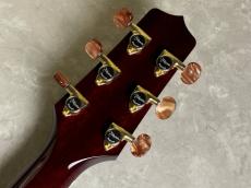 Takamine DMP50S WR エレアコギター 【島村楽器 x Takamine コラボモデル　現物写真】_10