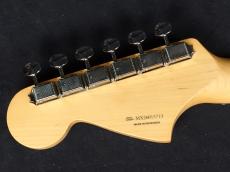 Fender Player II Mustang Cactus Gray_9