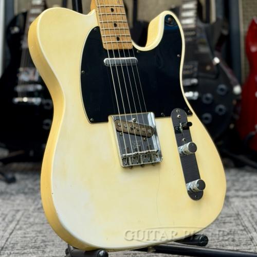 Fender 1977 Telecaster -Olympic White / Maple- 【Ash Body】【for Player!】【3.53kg】【Vintage】