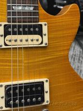 Gibson 【夏のボーナスセール】 Gary Moore Signature Les Paul -Lemon Burst- 2001年製 【Rare!】【良杢!】_7