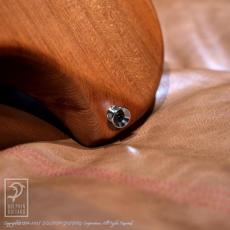 Klein Japan sTele (Redwood Body)_15