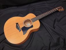 Taylor GS Mini_3