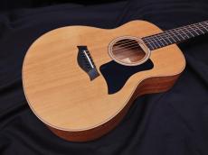 Taylor GS Mini_5