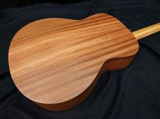 Taylor GS Mini_6