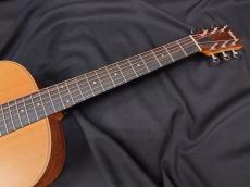 Taylor GS Mini_7