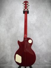 Epiphone Les Paul Standard Plus Top 2010_11