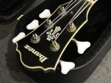 Ibanez AGB205-DVS_7